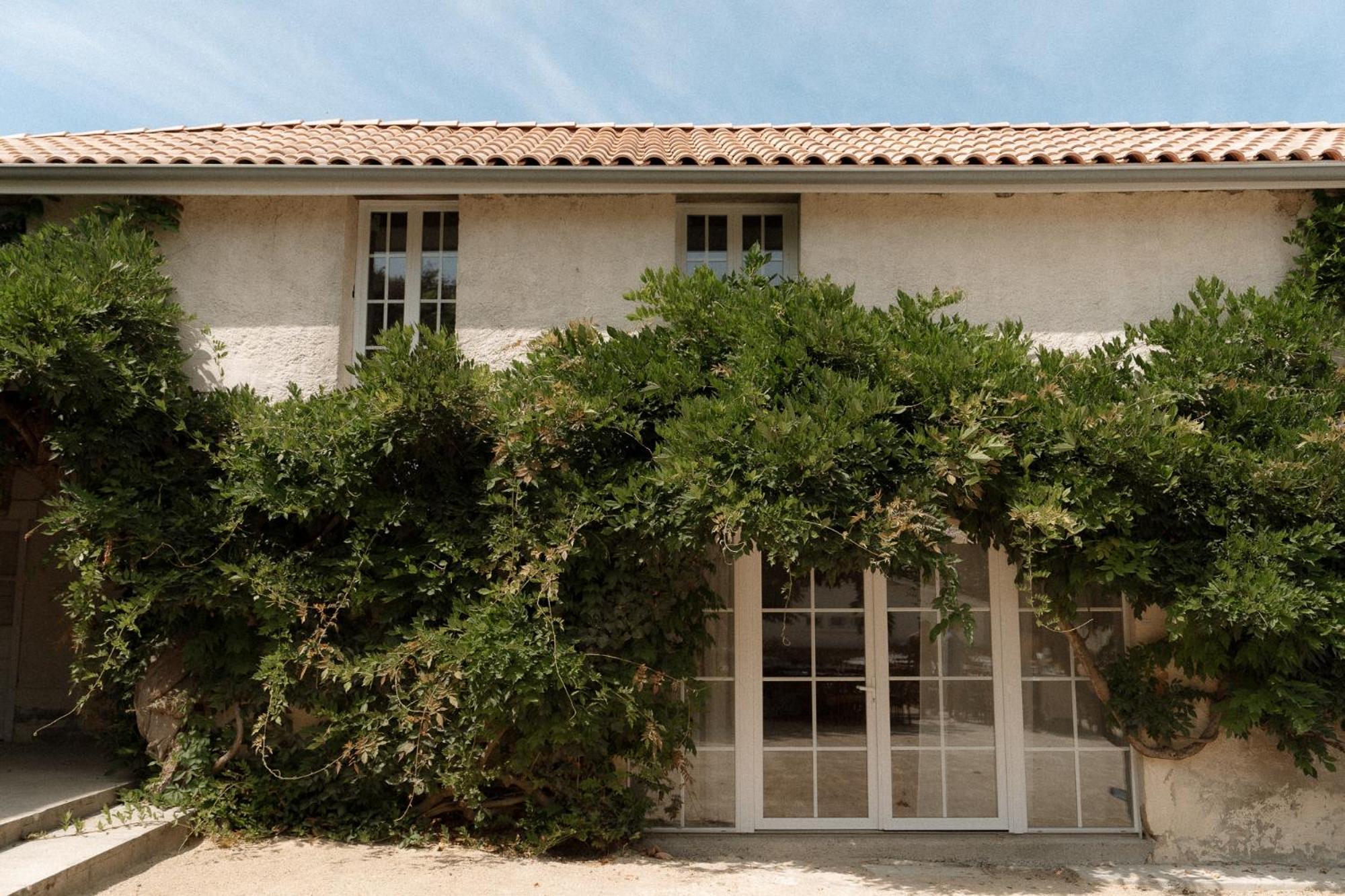 Domaine De Bassibe Bed & Breakfast Ségos Dış mekan fotoğraf